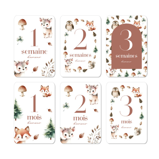 Cartes étapes milestone ‘ma première année’ forêt