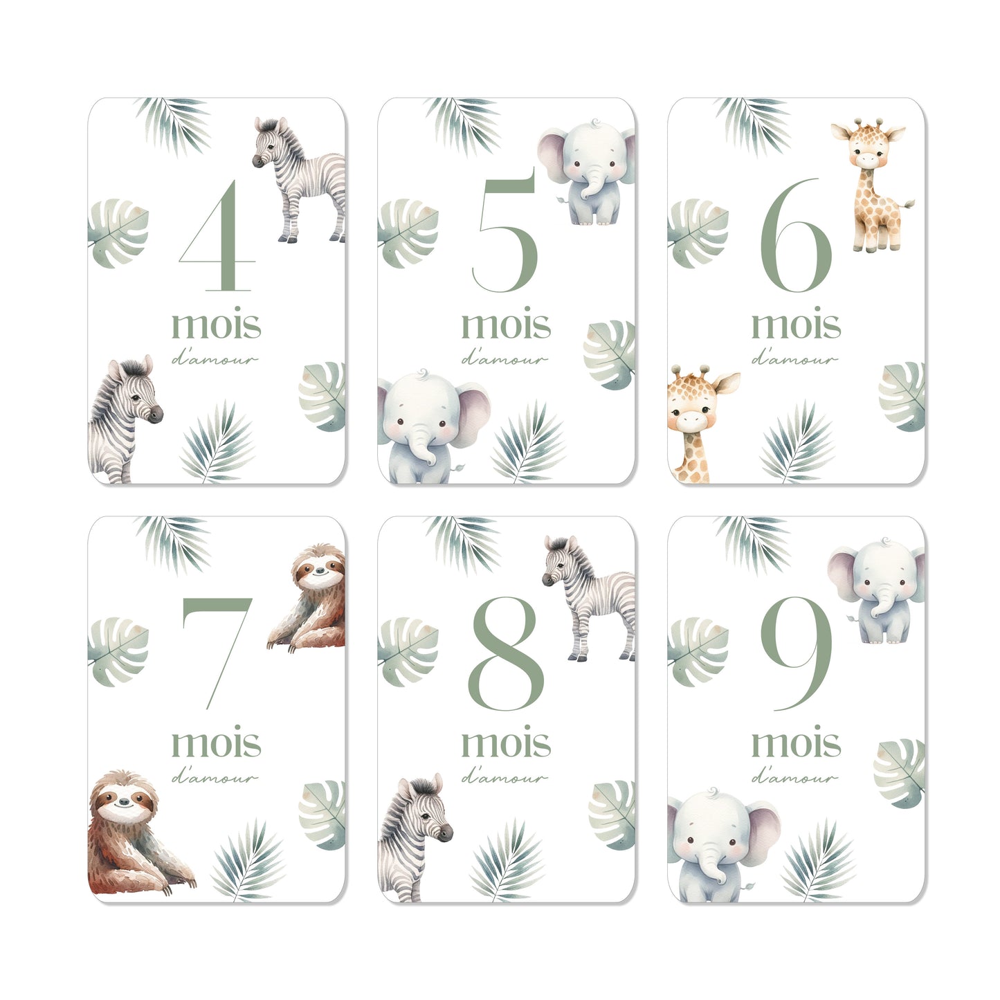 Cartes étapes milestone ‘ma première année’ safari