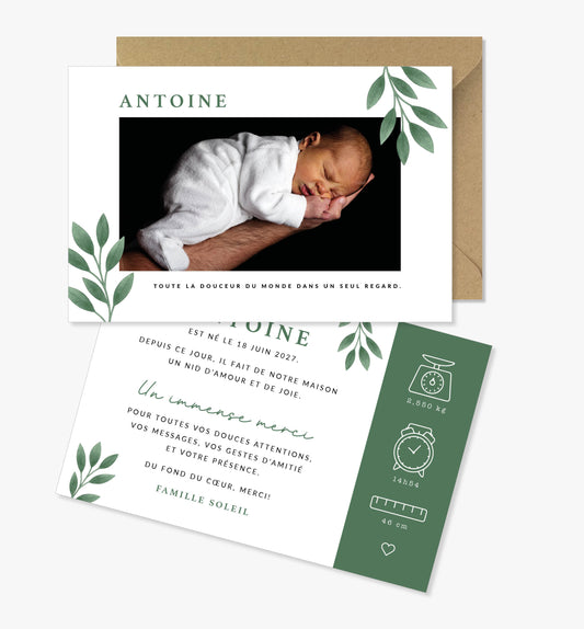Faire-part de naissance – feuillage vert illustration minimaliste