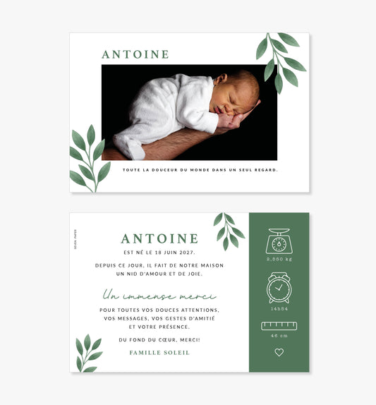 Faire-part de naissance – feuillage vert illustration minimaliste