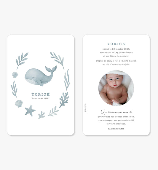 Faire-part de naissance – baleine océan bleu douce illustration
