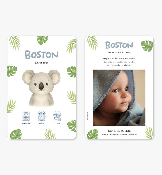 Faire-part de naissance – koala tropical vert bleu illustration