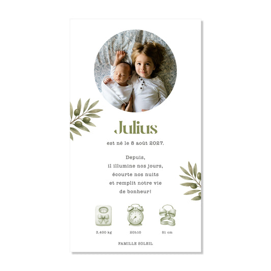 Faire-part de naissance numérique virtuel branche olives olivier