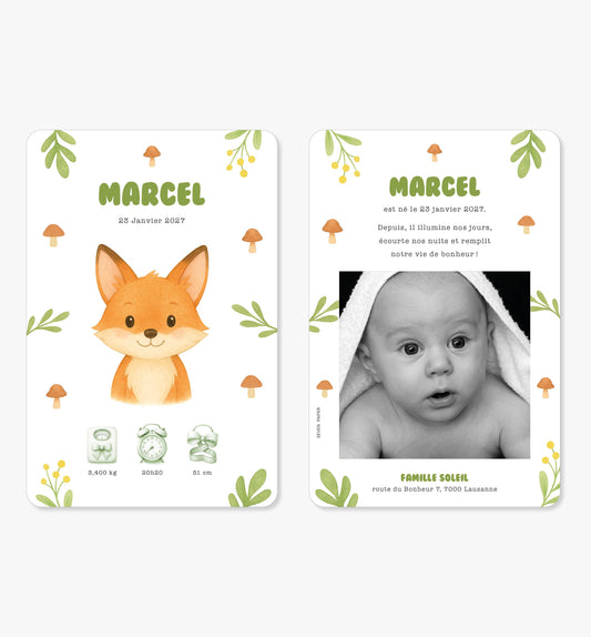 Faire-part de naissance – renard forêt vert illustration
