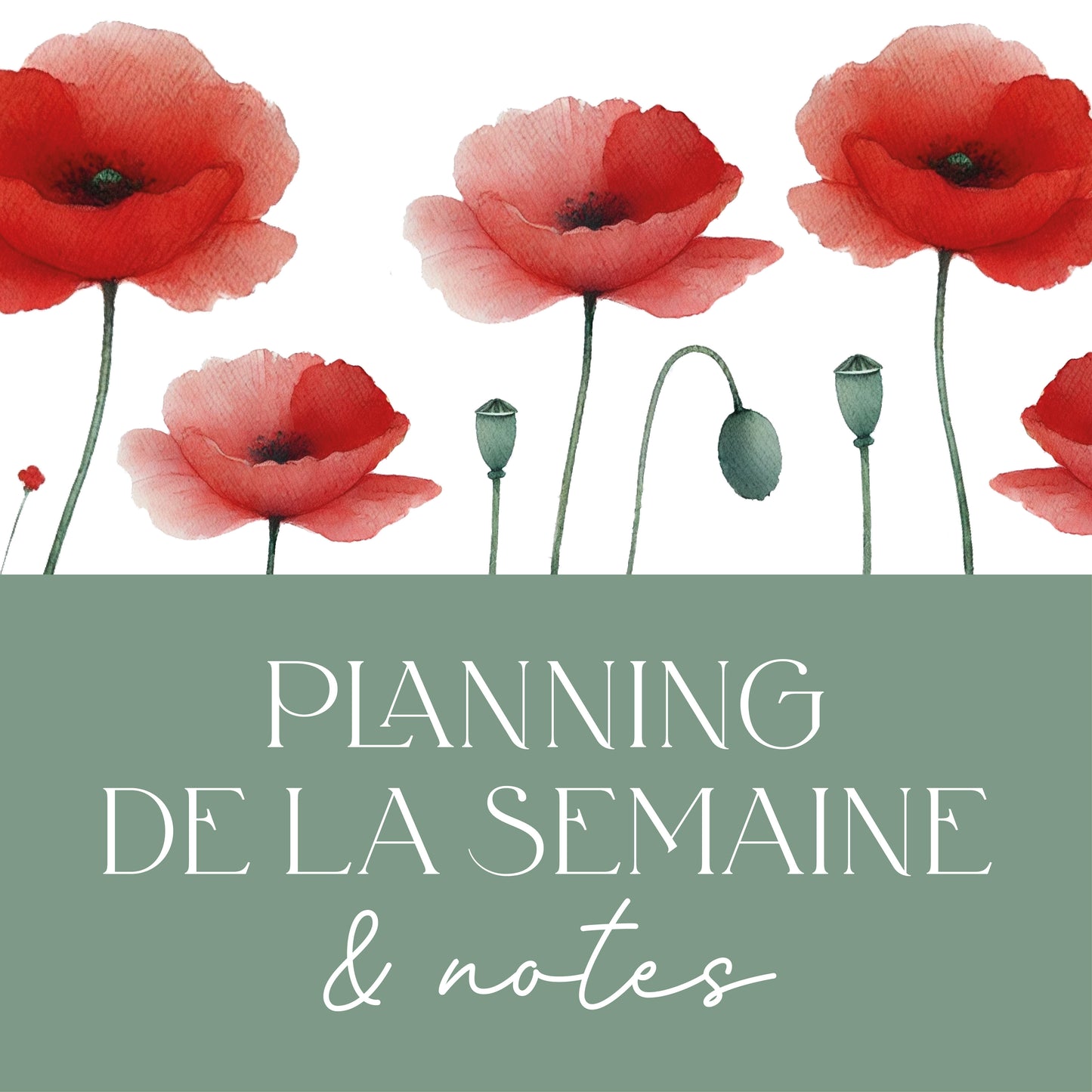 Box organisation bloc-notes, planning de la semaine - coquelicots