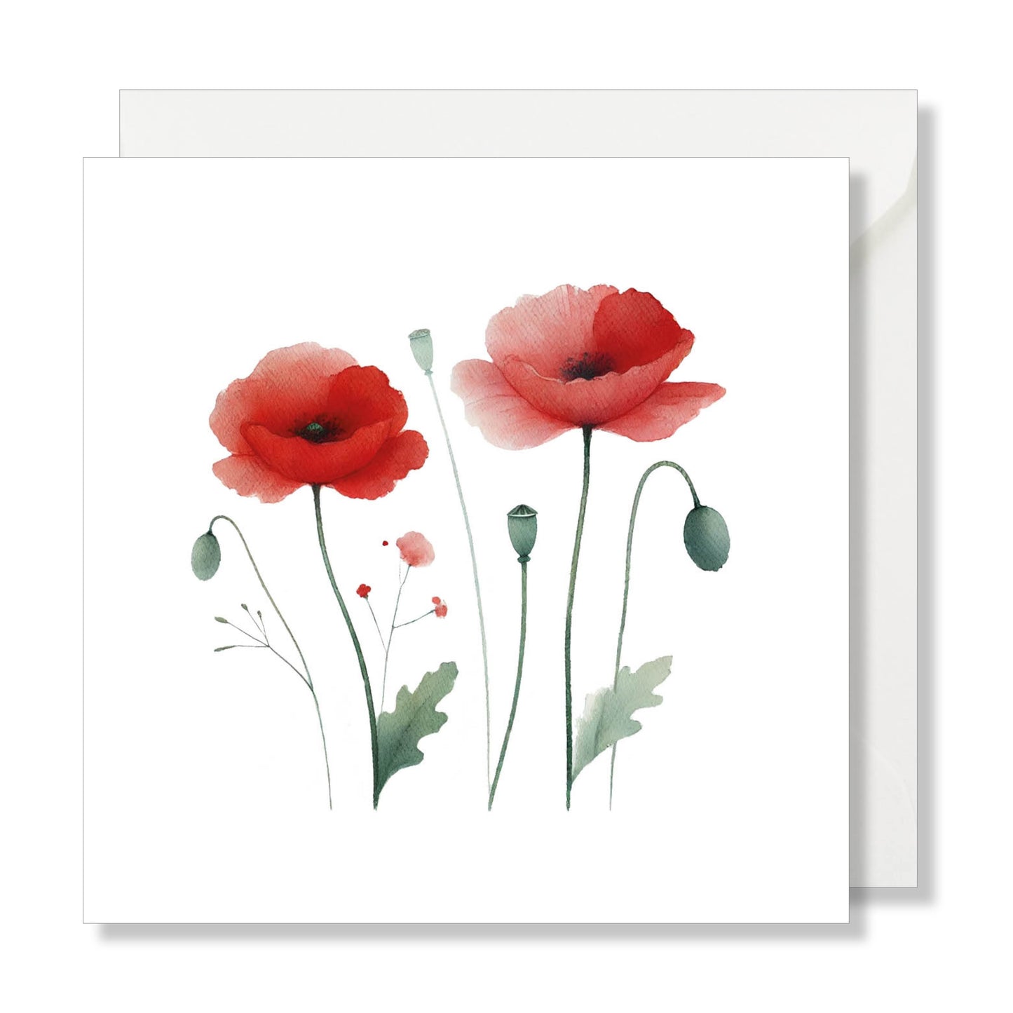 Carte de vœux carrée "coquelicot" illustration.