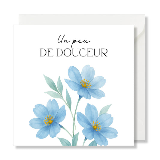 Carte de vœux carrée "un peu de douceur" fleurs bleu illustration