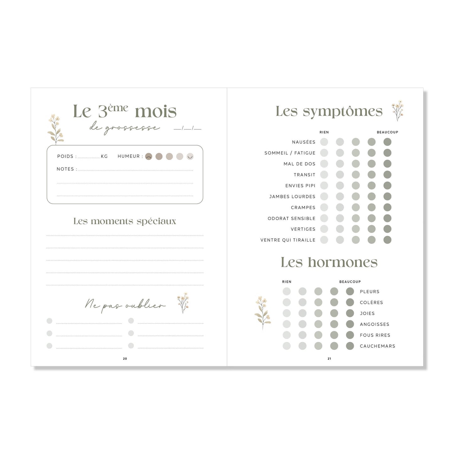 Journal de grossesse - Jardin fleuri