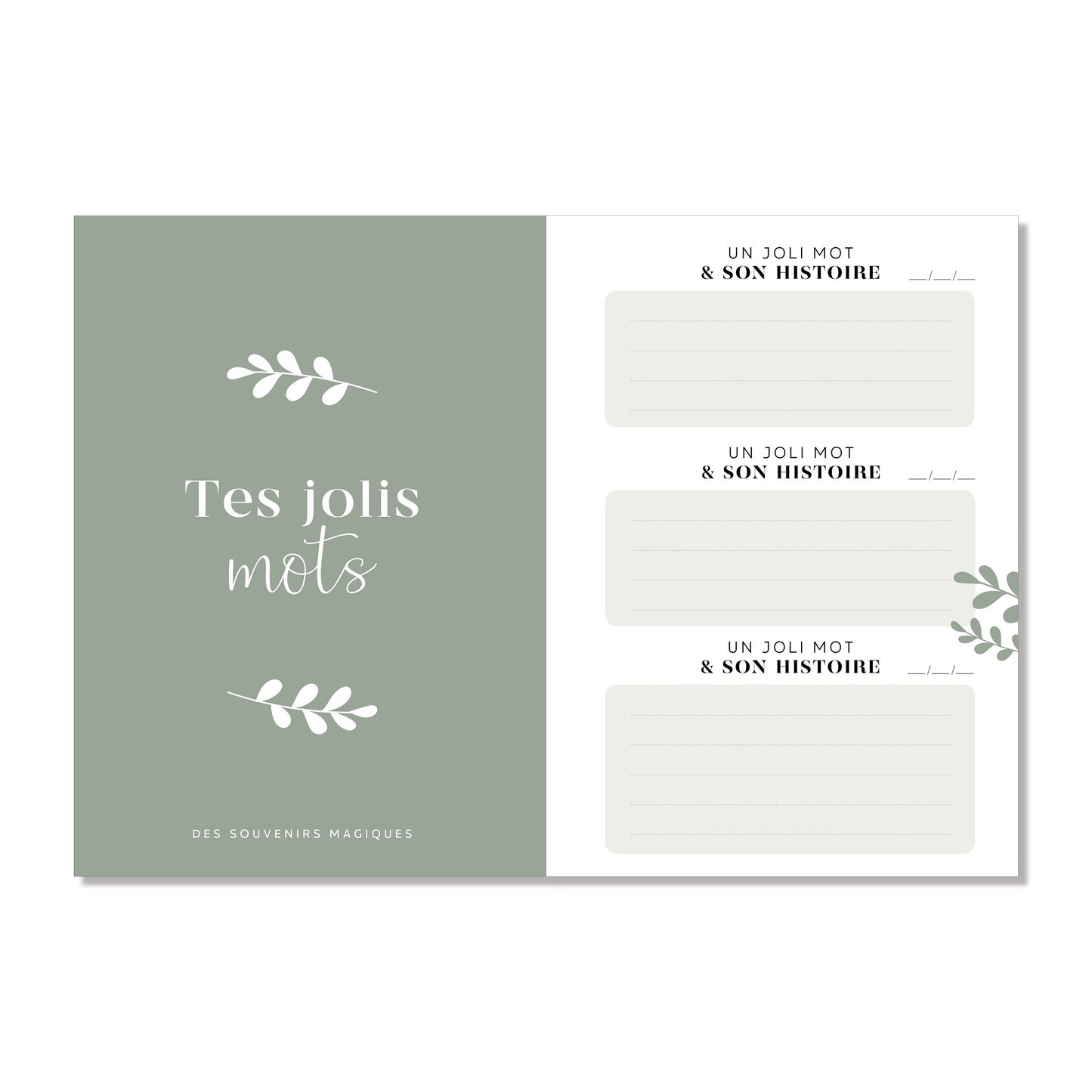 Livre des premiers mots & petites histoires, vert