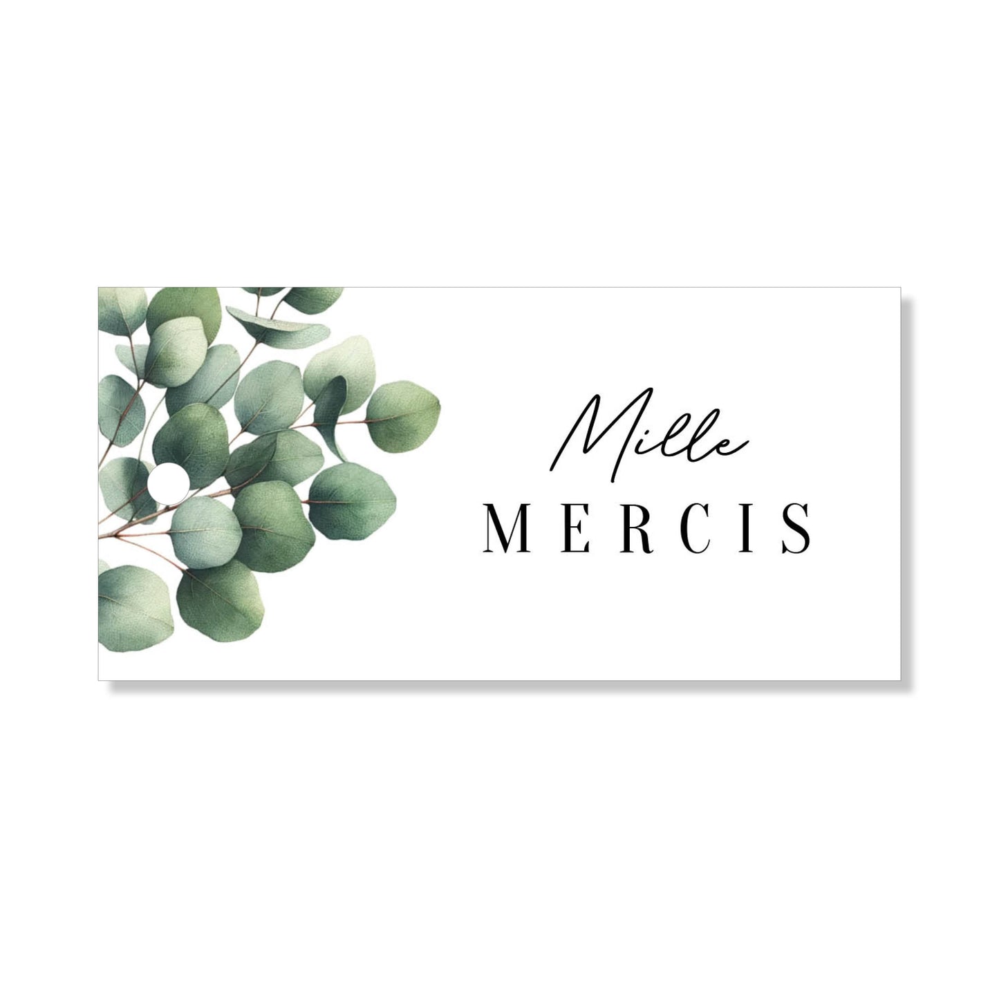 Lot de 6 étiquettes "mille mercis" illustration eucalyptus
