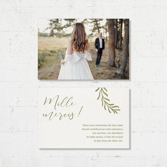 Cartes de remerciements - Absinthe