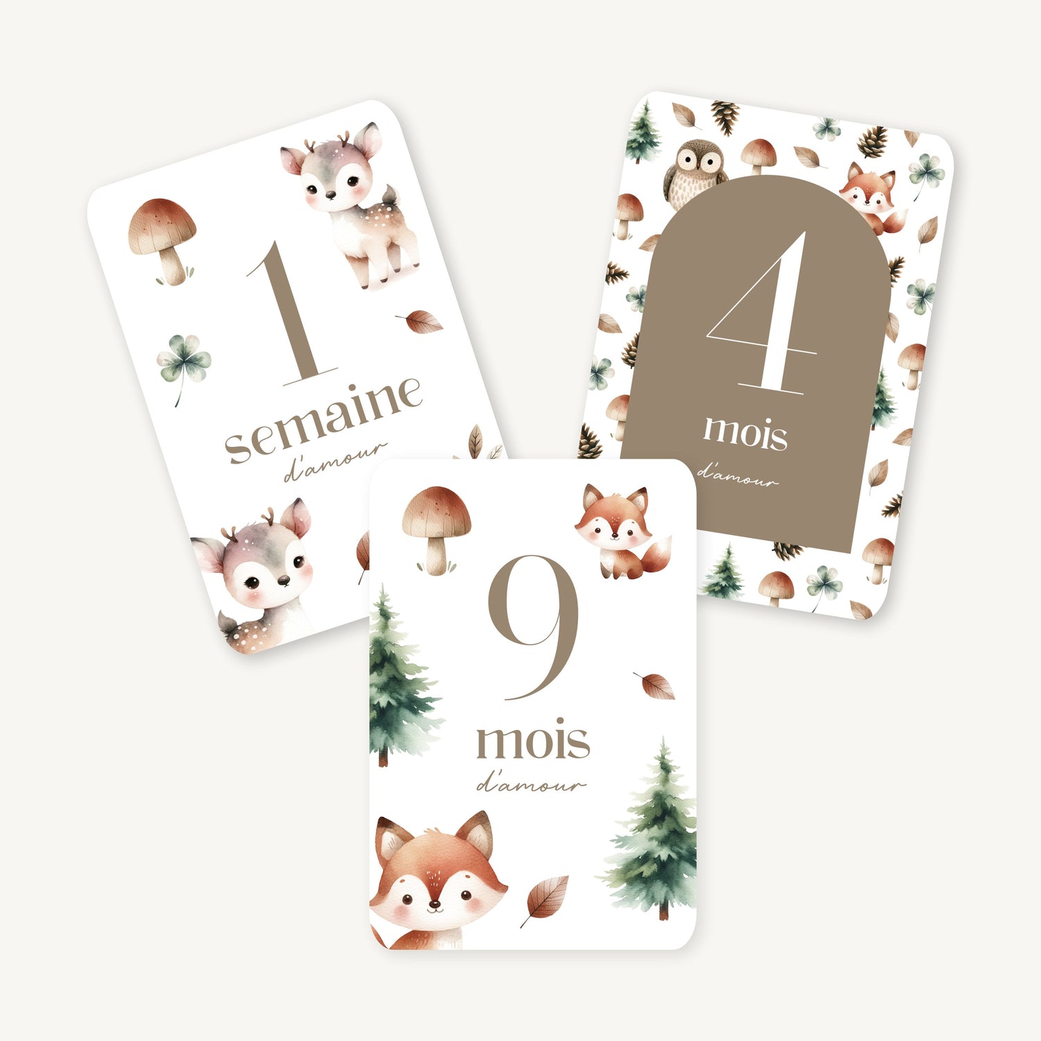 Cartes étapes.