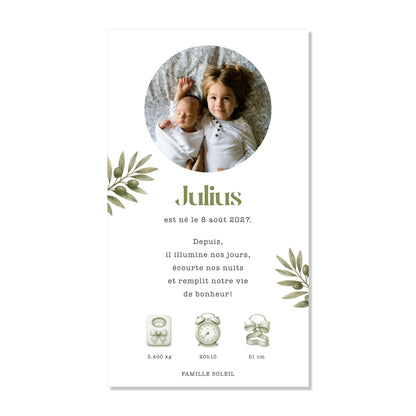 Faire-part de naissance numérique virtuel branche olives olivier
