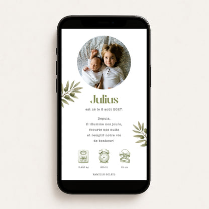 Faire-part de naissance numérique virtuel branche olives olivier