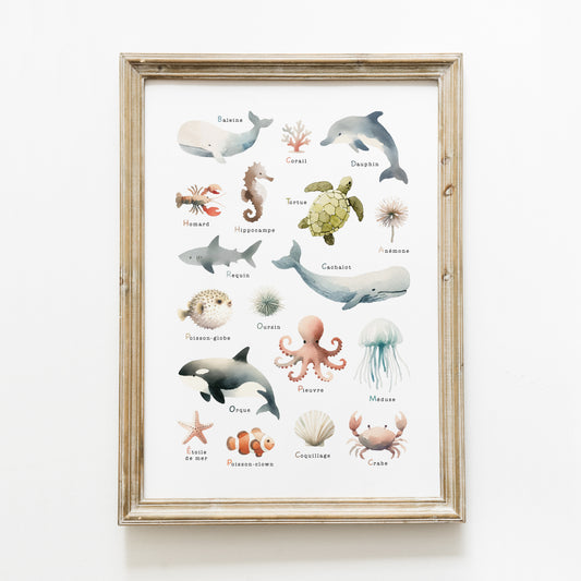 Poster ‘les animaux de la mer’ A4 ou A3