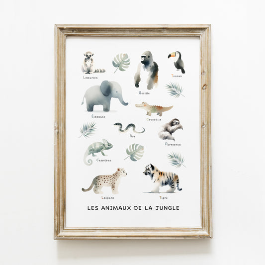 Poster ‘les animaux de la jungle’ A4 ou A3